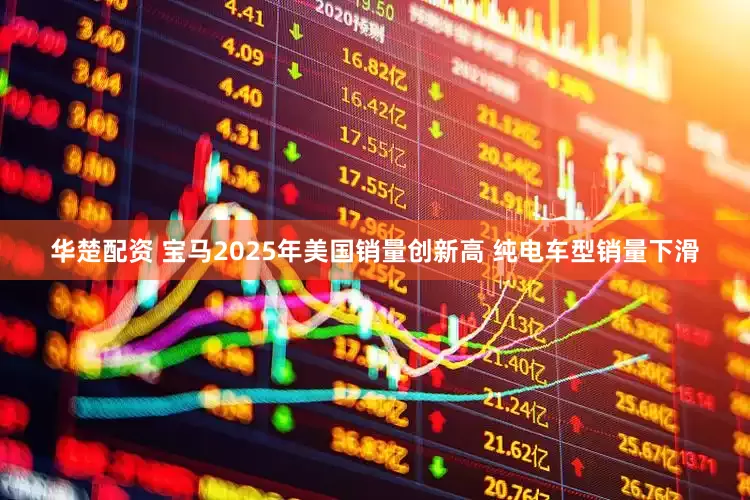 华楚配资 宝马2025年美国销量创新高 纯电车型销量下滑