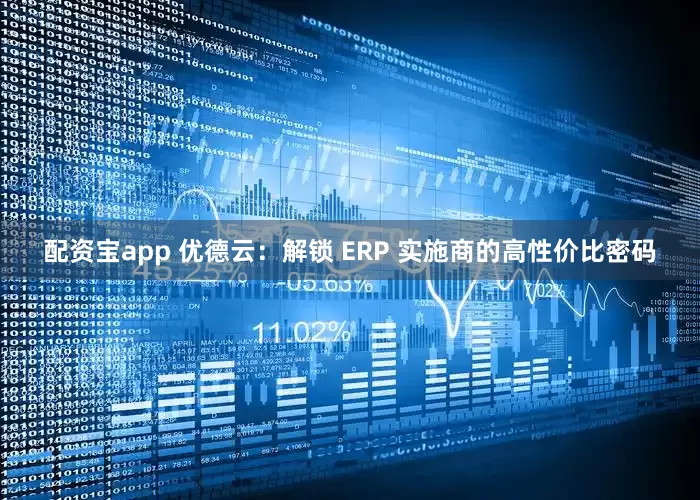 配资宝app 优德云：解锁 ERP 实施商的高性价比密码
